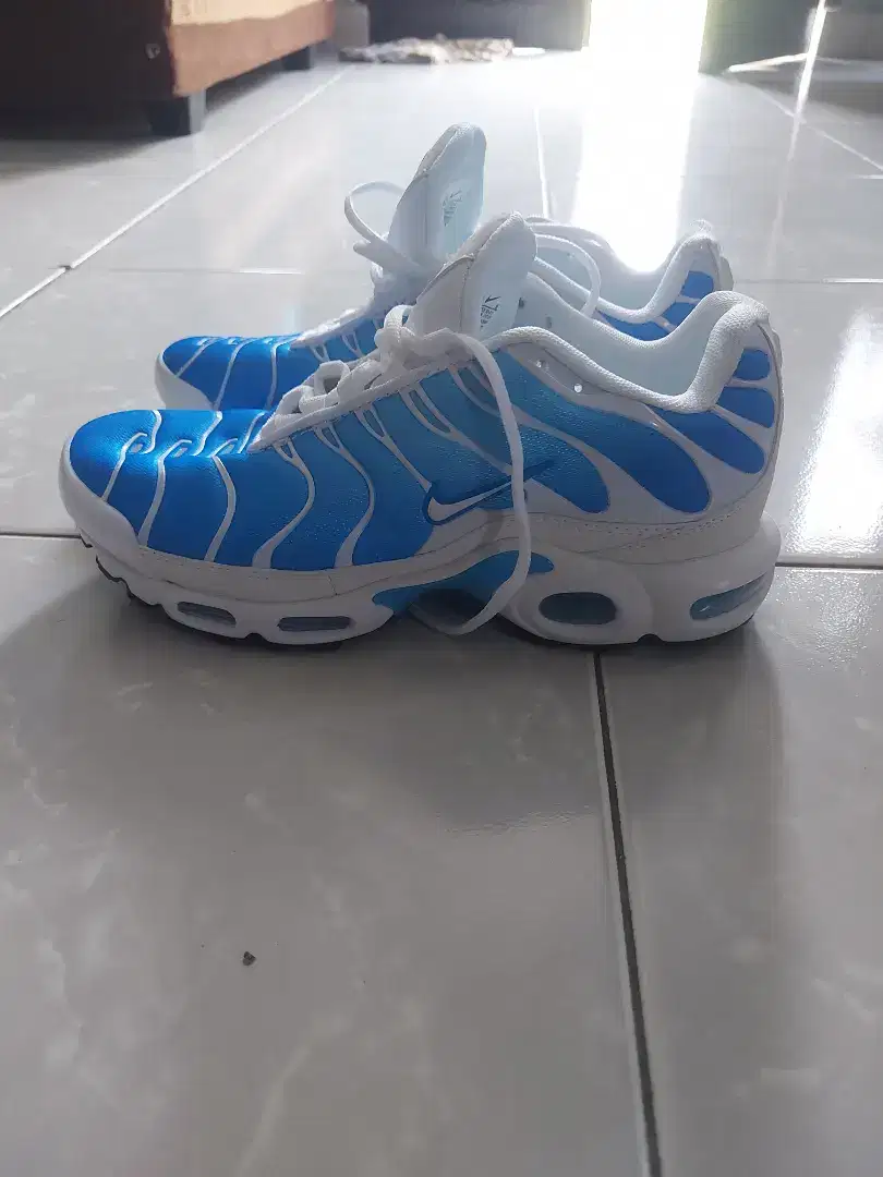 Sepatu nike air max TN bogor