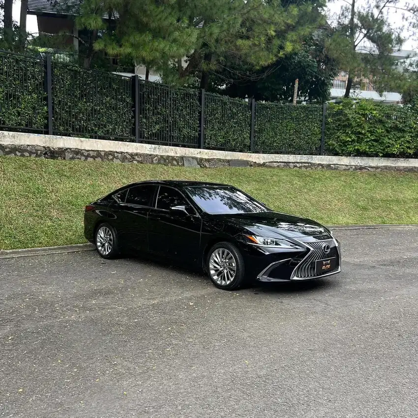 Lexus ES 250 Ultra Luxury Sedan 2020 LOW ODO