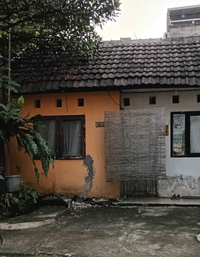 Rumah Murah Empat Kamar, Satu Setengah Lantai Grya Asri Ciomas Bogor