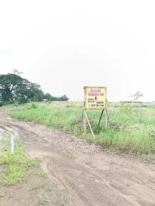 Tenah kavling dekat pabrik di jalan baru desa padakaton