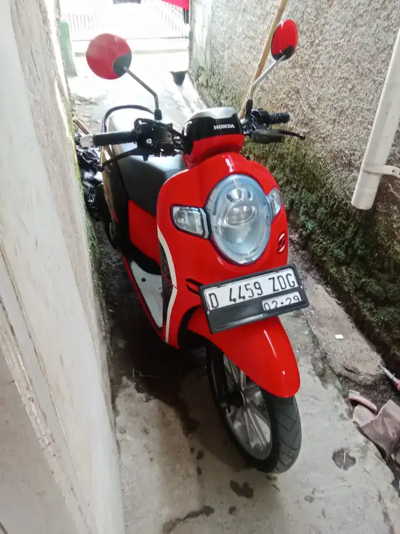 Scoopy donat thn 2019