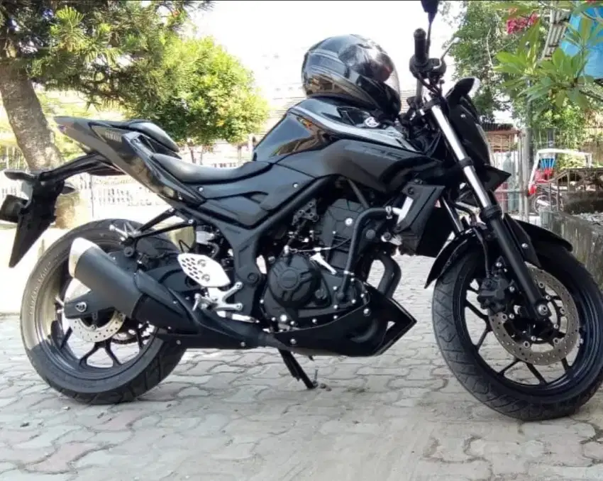 Yamaha MT 250 Master of tourge