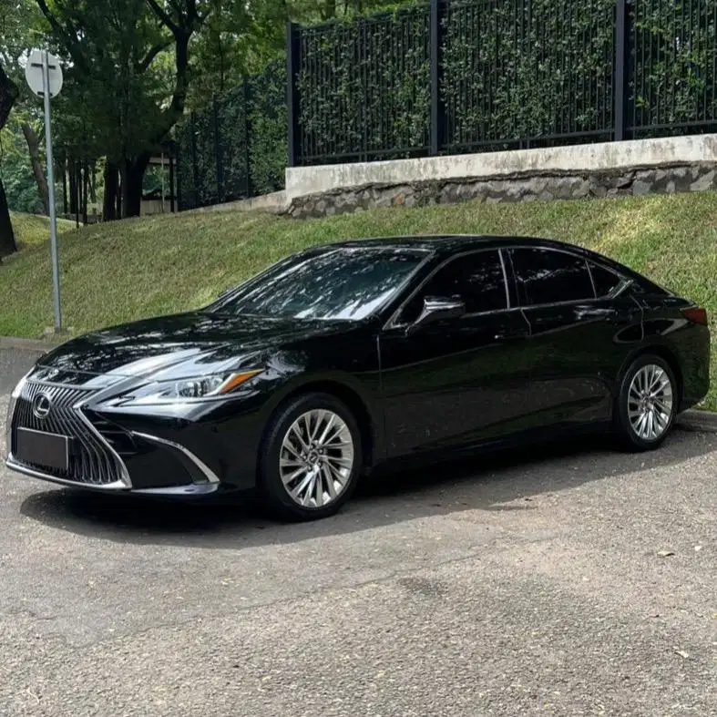 Lexus ES250 Ultra Luxury Sedan 2020