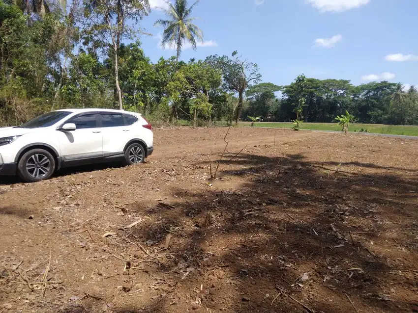 Tanah Pekarangan Sleman, View Persawahan, Akad di Notaris