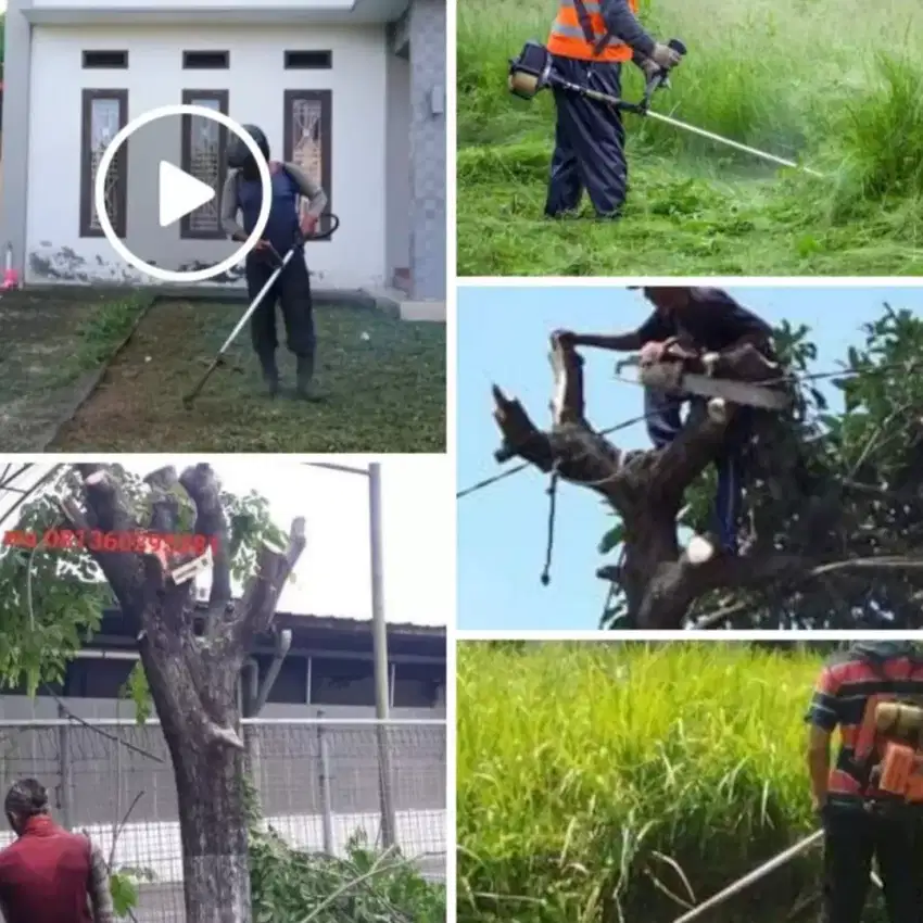 Jasa potong rumput dan pohon