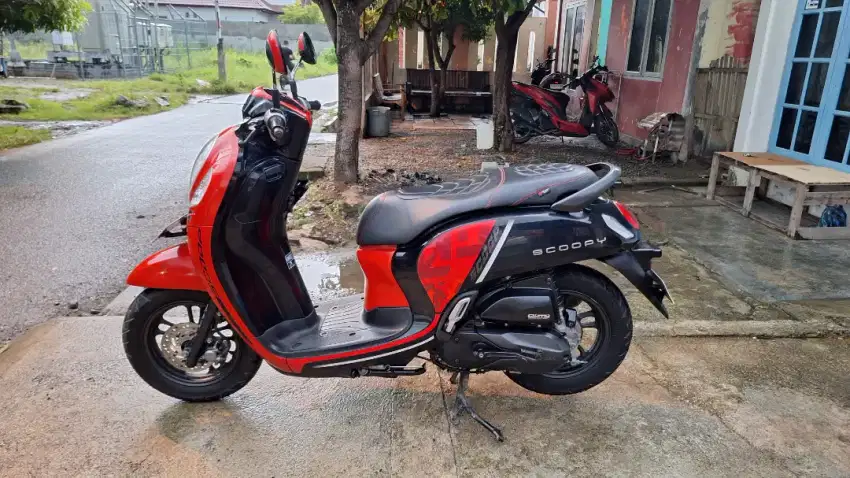 Scoopy Hidup Pajak