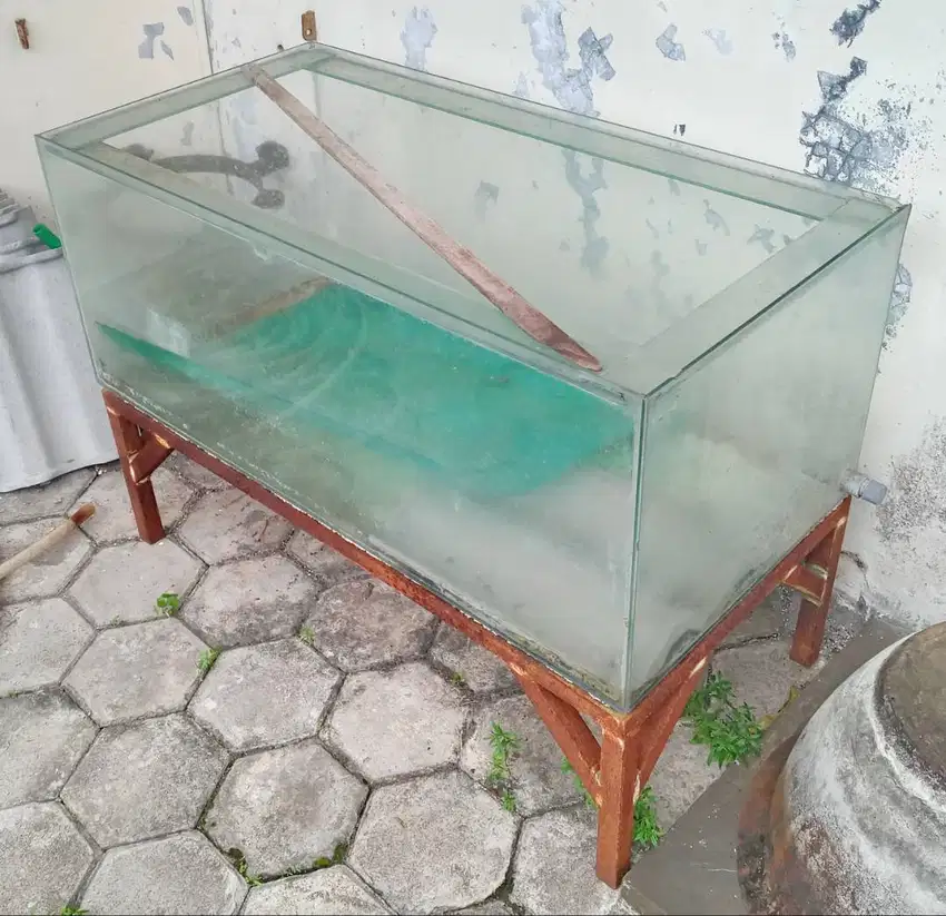 Akuarium Aquarium Kaca Ukuran 100 x 50 x 40 cm