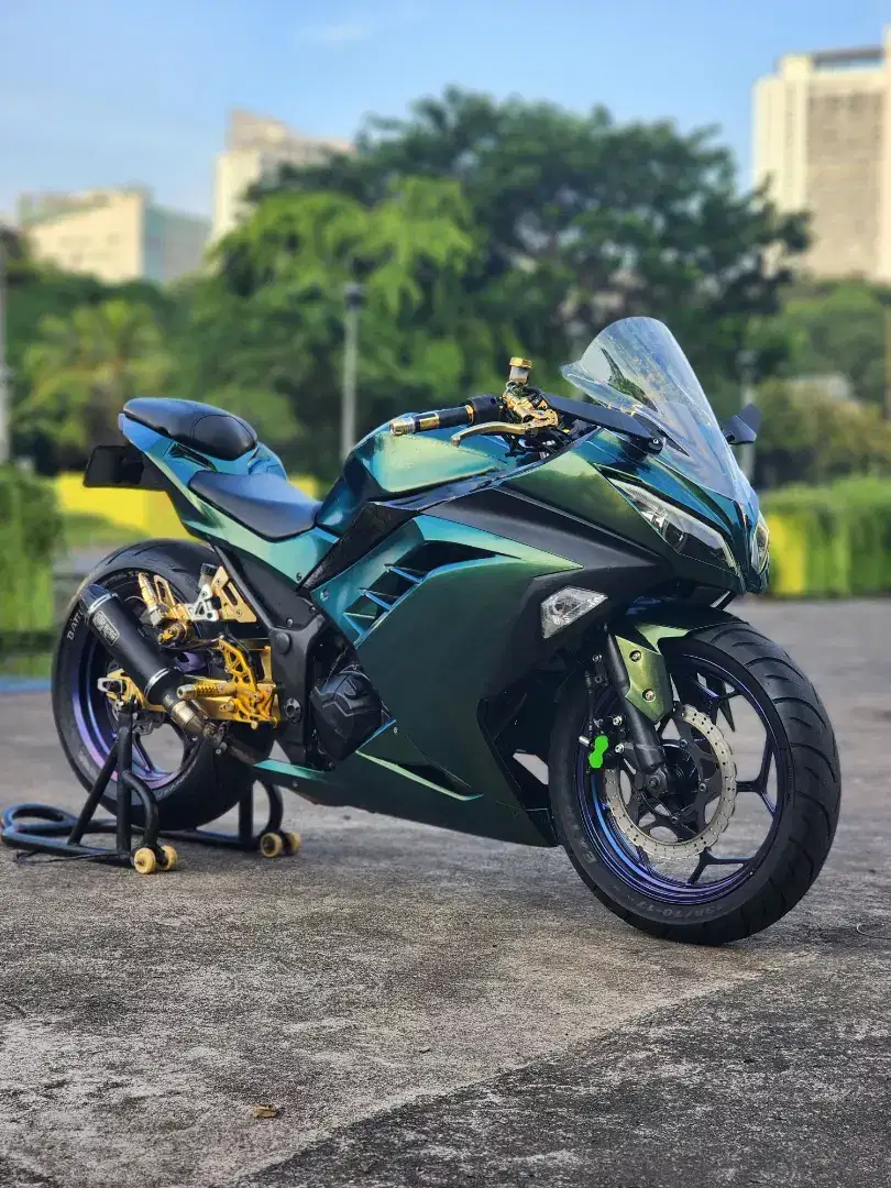 Kawasaki Ninja 250 FI Modif