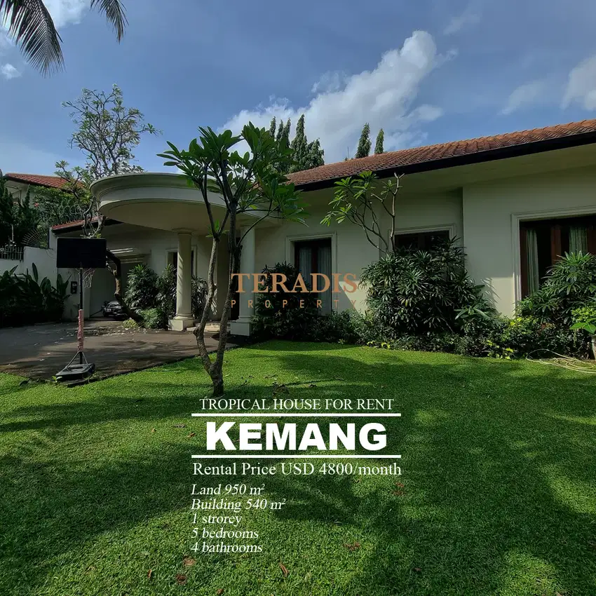 DISEWAKAN RUMAH BERGAYA TROPICAL DI DAERAH KEMANG