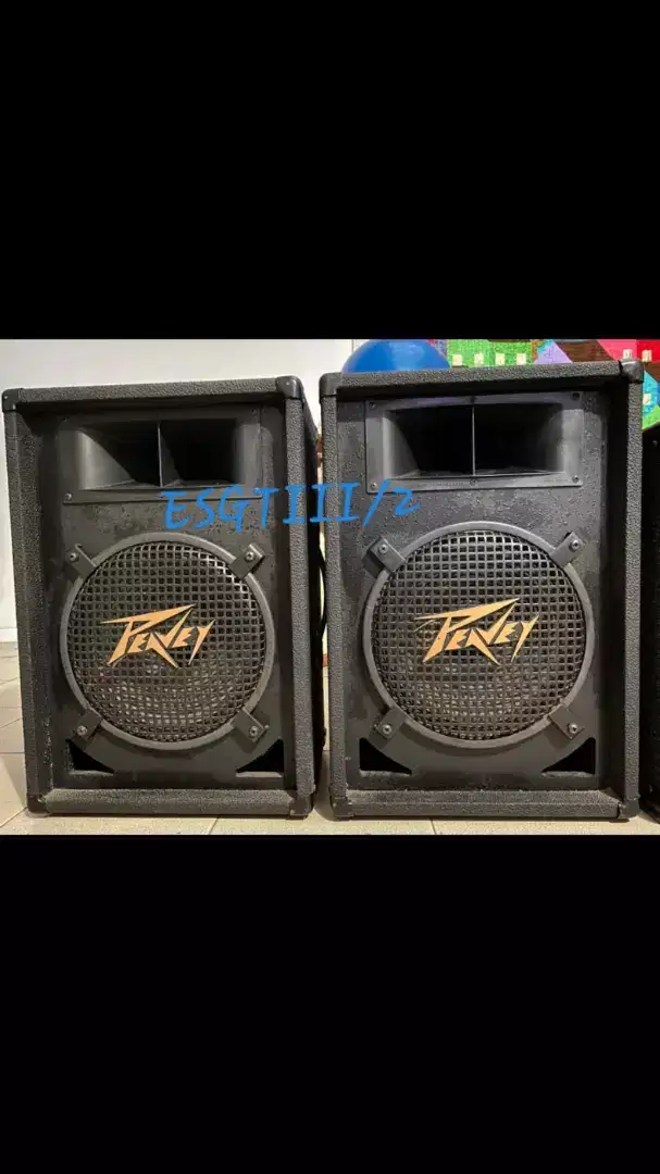 Peavey ES 12 amplifier