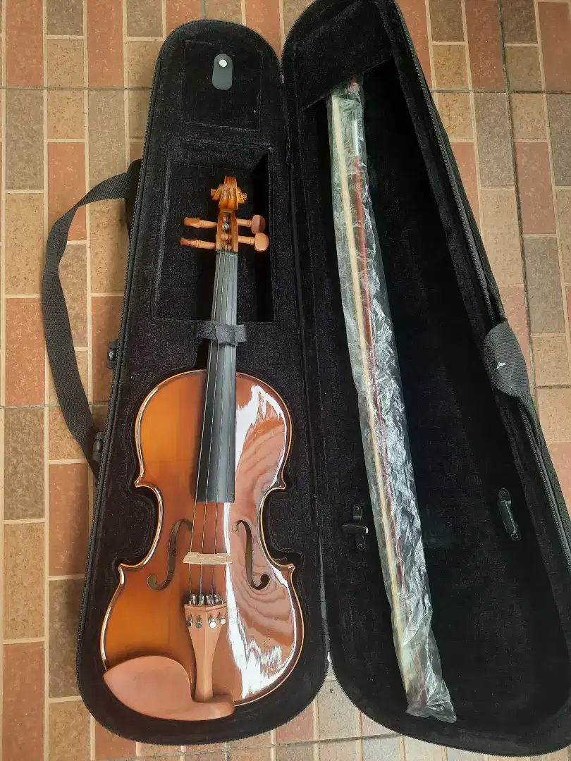 Biola Violin Pemula Shifen 401 Upgrade