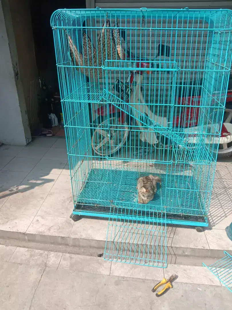 kandang kucing besar dua pintu