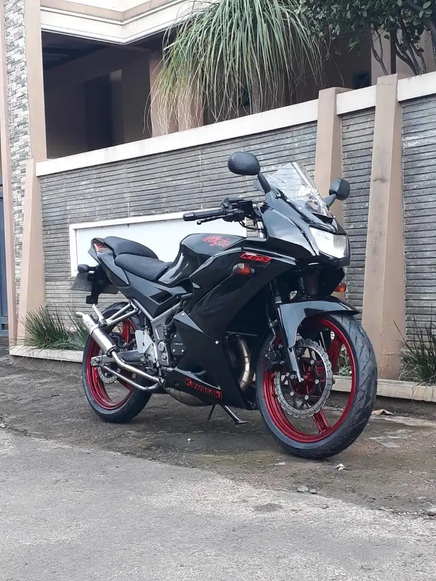 Kawasaki Ninja RR New