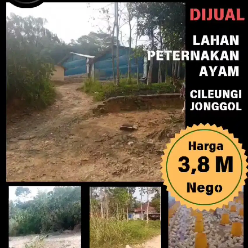 MURAH Siap Jual Lahan Peternakan Ayam Cileungsi Jonggol Nego