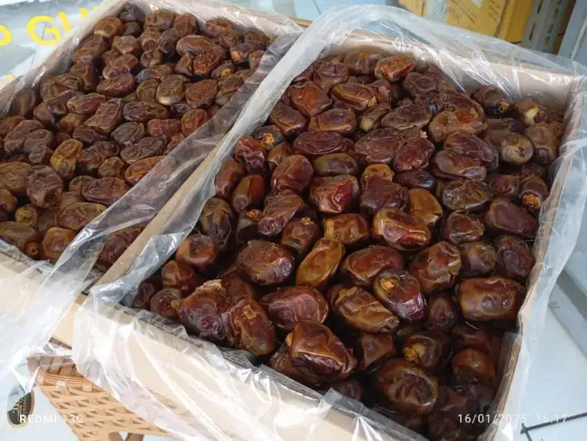 Jual KURMA AL WAHA MESIR