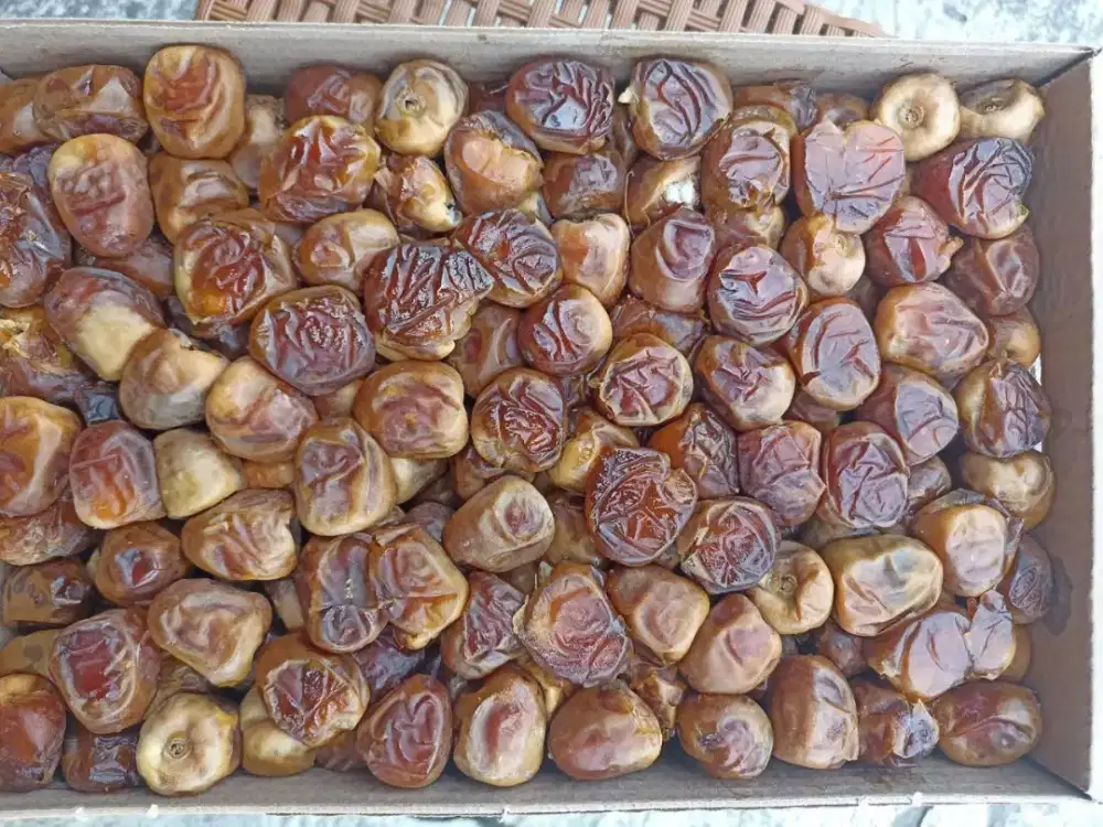 Jual KURMA Luar Negeri