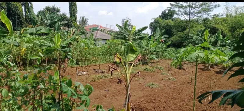 Di Jual Lahan Tanah siap Bangun Sawangan Bojongsari Depok