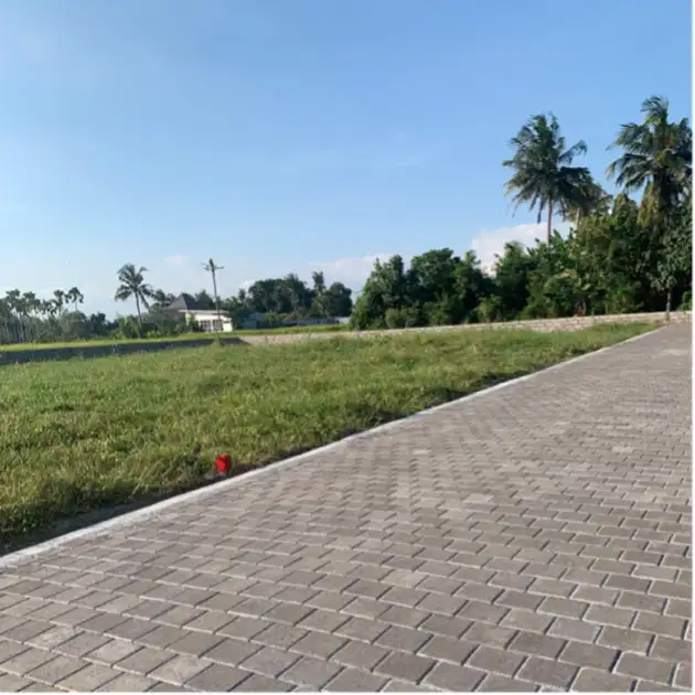 tanah kavling hanya 5 menit ke pantai kedungu view sawah