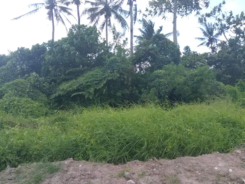 Tanah murah los sungai, 5 km ke pantai kedungu