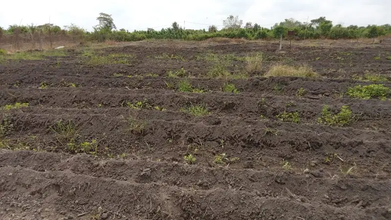 Dijual Tanah di jl Garuda sakti Km 9, dekat Ponpes Umar Bin Khatab