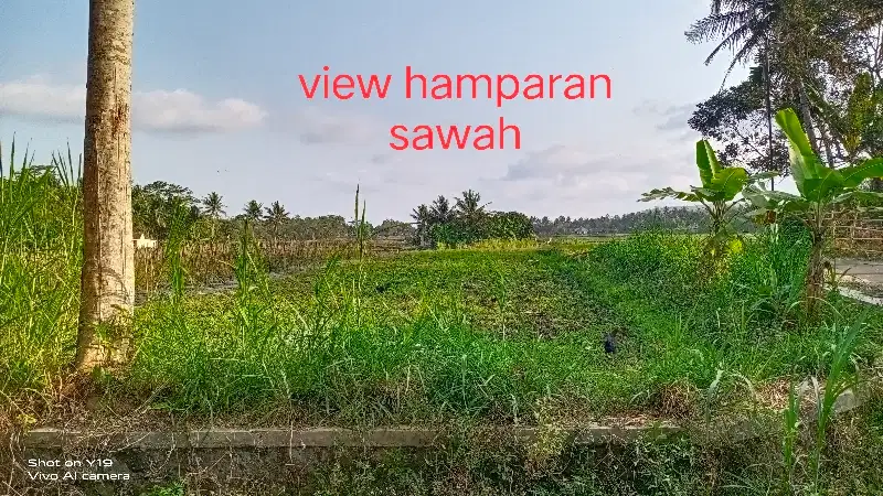 tanah murah,view sawah.area geblek pari nanggulan