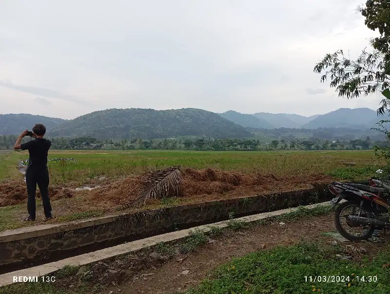 dijual tanah murah, view sawah dekat geblek pari, nanggulan