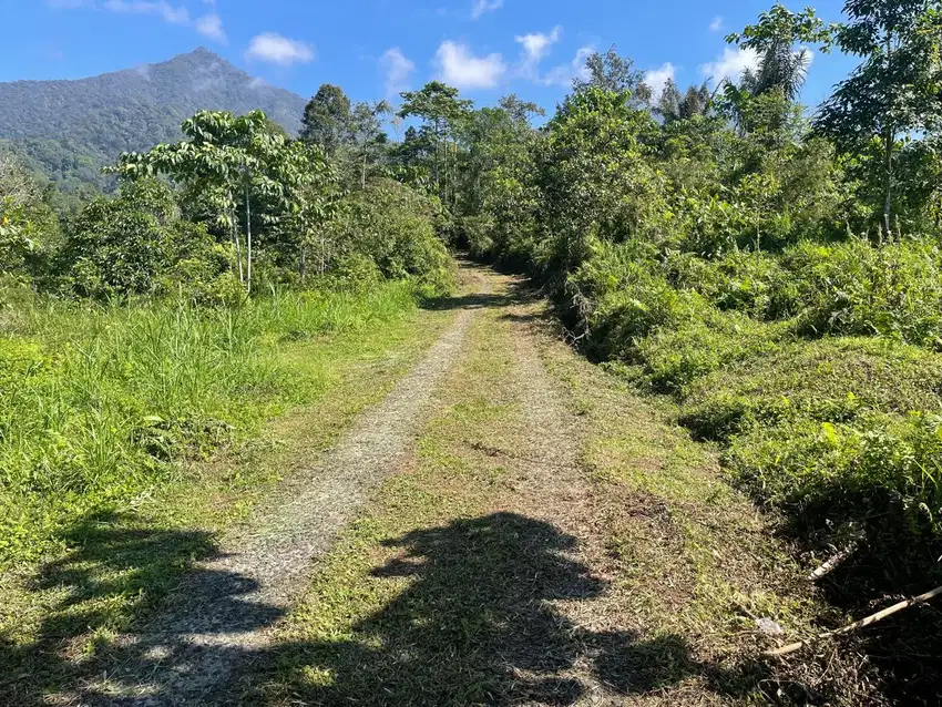 Dijual Sebidang Tanah Kosong Kawasan Gunung Sari Jatiluwih Tabanan