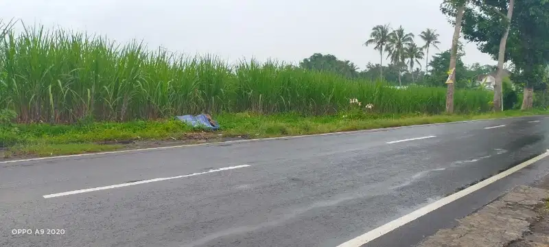 Dijual Murah Lahan Poros Jalan Pakisaji Zona Industri