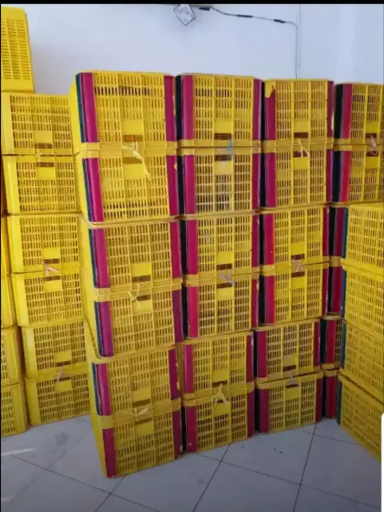 Di Jual Keranjang Panen Buah