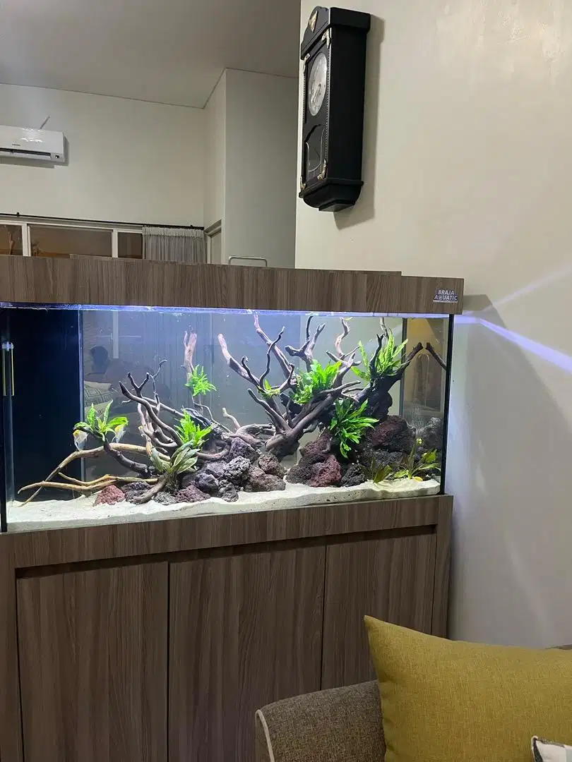 aquarium bekas custom