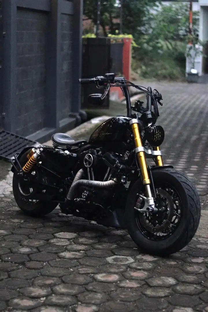 Sportster 48 tahun 2012 fp