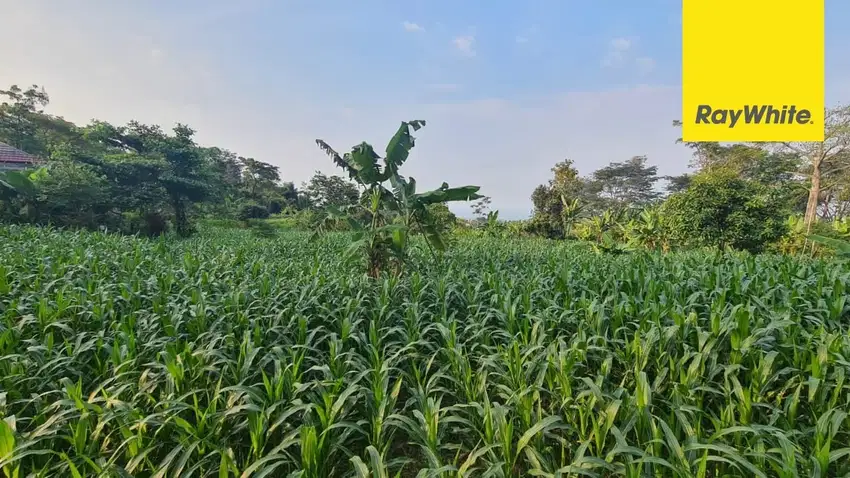 Dijual Tanah Strategis Prigen Nol meter Raya Ledug Pasuruan