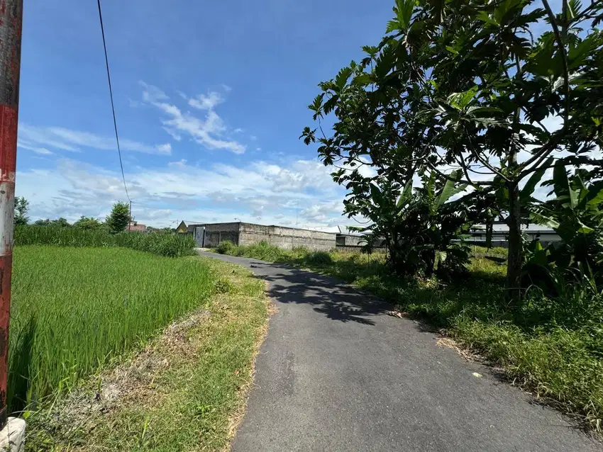 Tanah Sleman Dekat Jalan Gito Gati, Lingkungan Asri