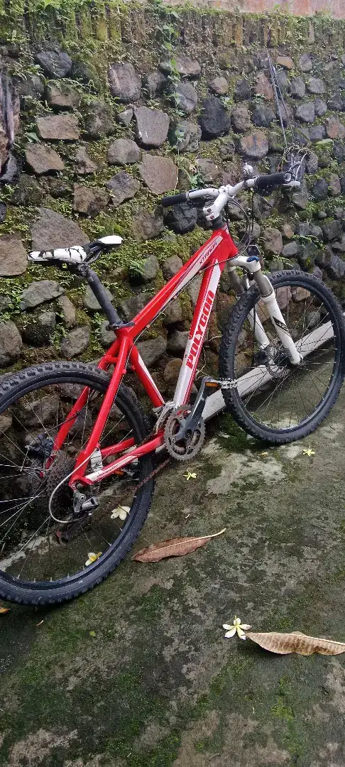 Polygob MTB Xtrada 4.0