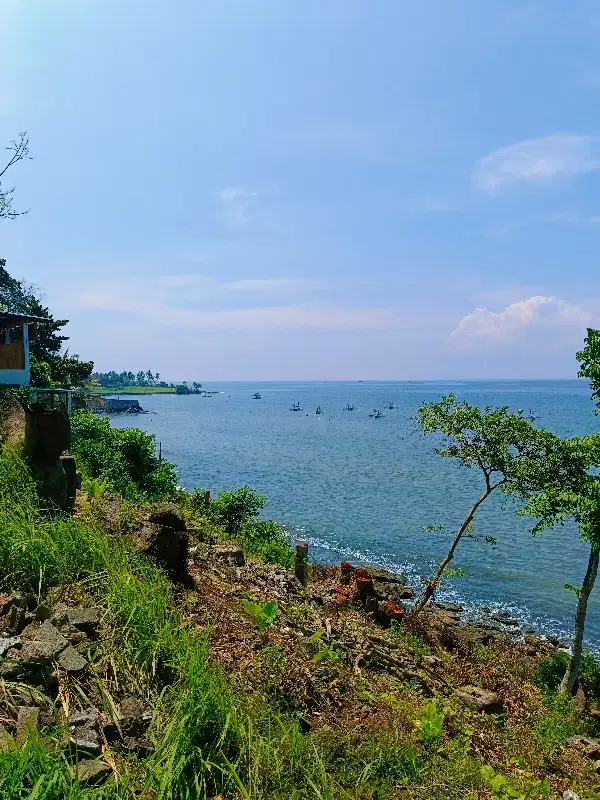 TANAH TEBING LOS PANTAI DI CUPEL JEMBRANA BALI