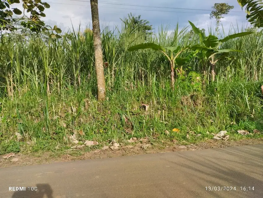 Tanah pinggir jalan dekat perumahan