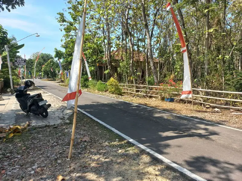 TANAH PEKARANGAN DIJUAL BONUS KAYUJATI SIAP PANEN DI GROGOL POLOKARTO