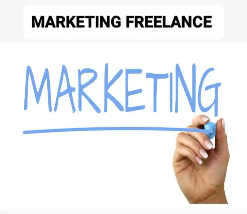 Dicari marketing freelance