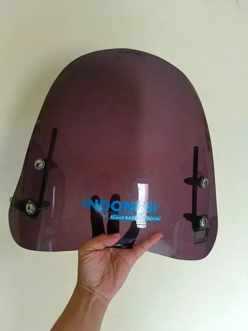 Visor windshield