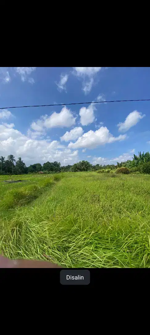 Dijual tanah 22,5 are di abian tuwunh Kediri Tabanan Bali