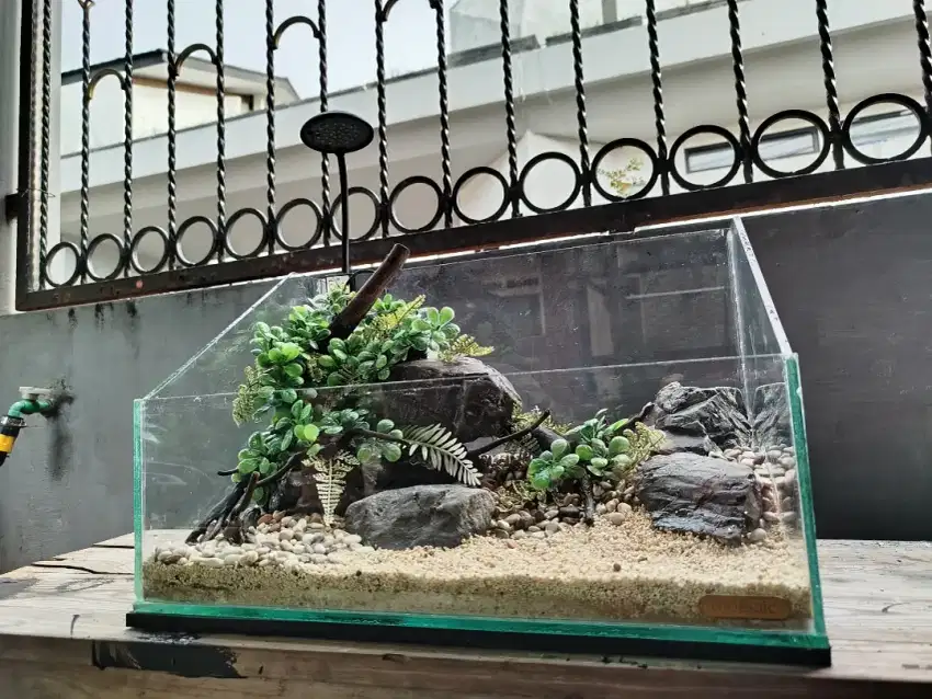 Paludarium / aquascape / aquarium