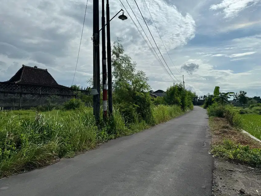 Tanah Pekarangan Murah Dalam Ringroad Kota Jogja