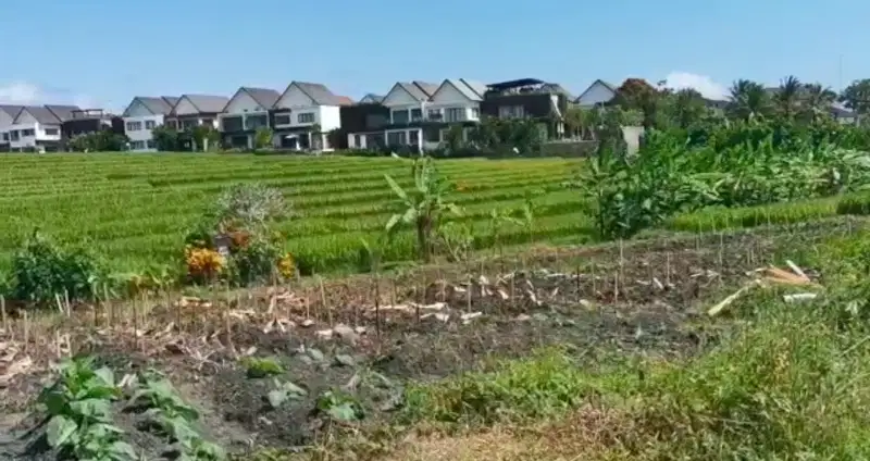 Tanah pantai cemagi bali