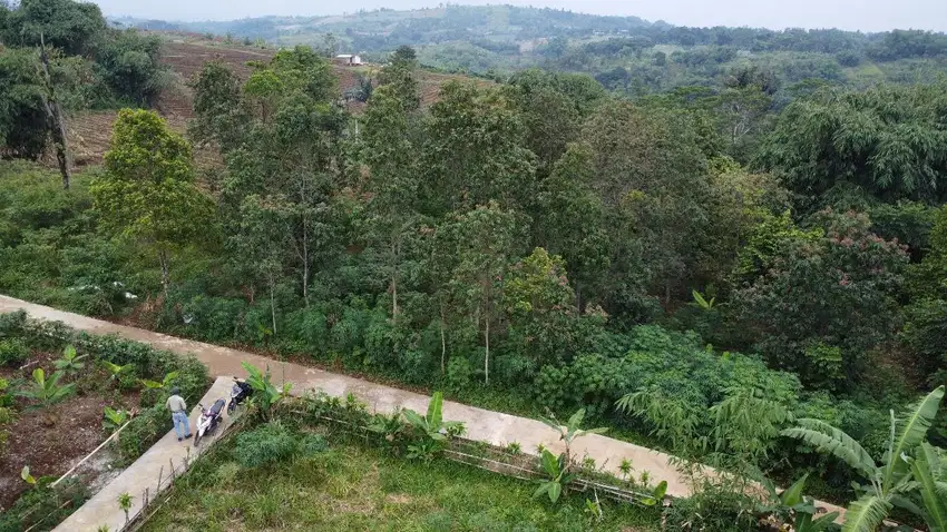 Tanah Kebun 1885 m2 Pinggir Jalan mobil Dijual Murah Bojong Purwakarta