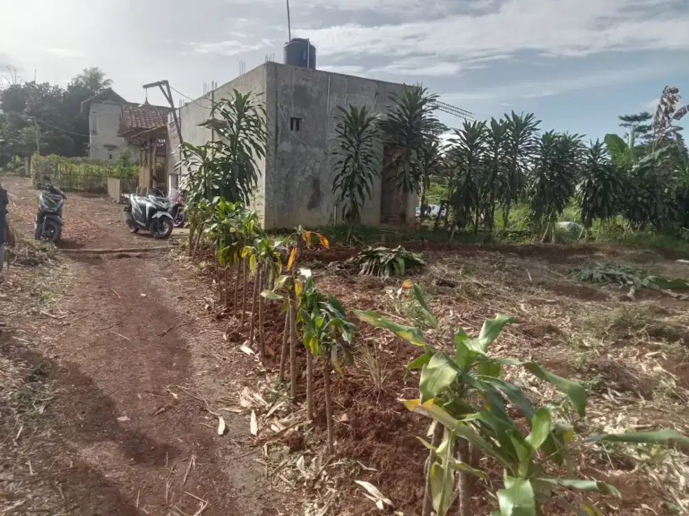 Dijual lhan tanah darat lt 1910 mtr pinggir jln surat SHM muka 2 jln