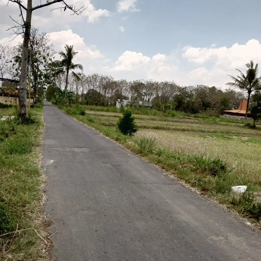 Belakang Kampus UII Sleman , Tanah Murah View Sawah Peruntukan Kos