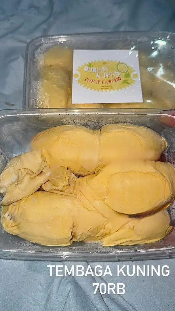 durian tembaga kuning