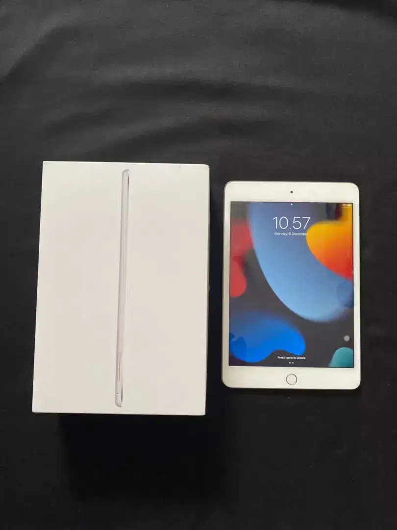 Ipad Mini 4 Space Gray 32Gb