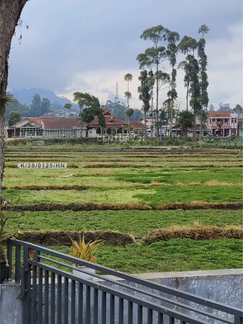 Tanah Pinggir Jalan Cocok Untuk Ruko Di Rancagede Ciwidey Bandung