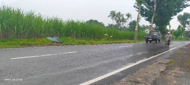 Dijual Lahan Industri Strategis di Poros Pakisaji dekat Kepanjen